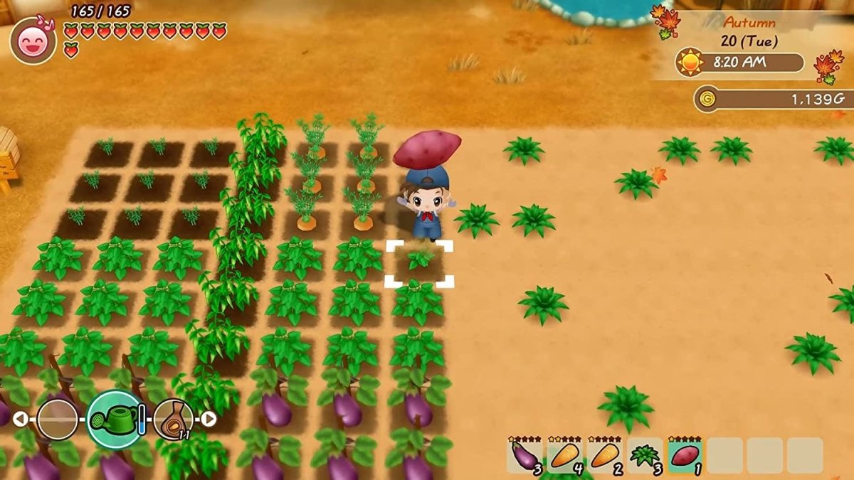 Story of Seasons: Friends Of Mineral Town (PS4) - GameOn.games