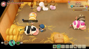 Story of Seasons: Friends Of Mineral Town (PS4) - GameOn.games